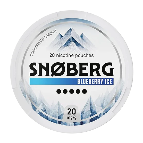 SNØBERG - Blueberry Ice 5