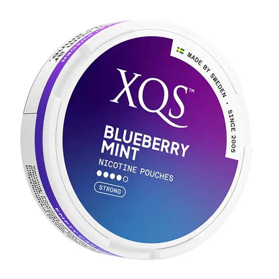XQS - Blueberry Mint #4 - Image 2