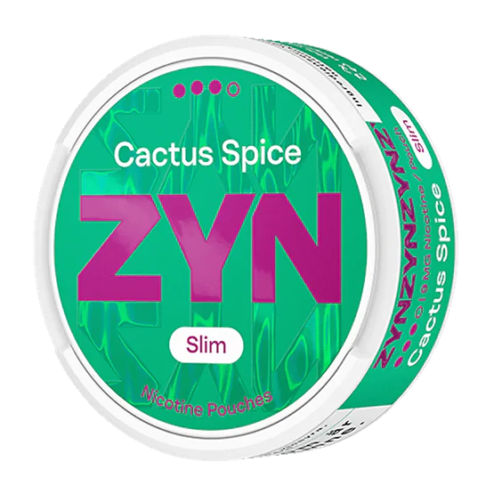 ZYN - Cactus Spice No.3 (Slim) - Image 2